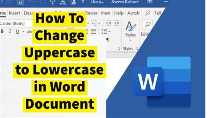 Unable to change Roman numerals in footer from upper case to lower case in Word
