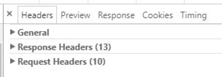 Unable to see Request Payload in Chrome Network tab