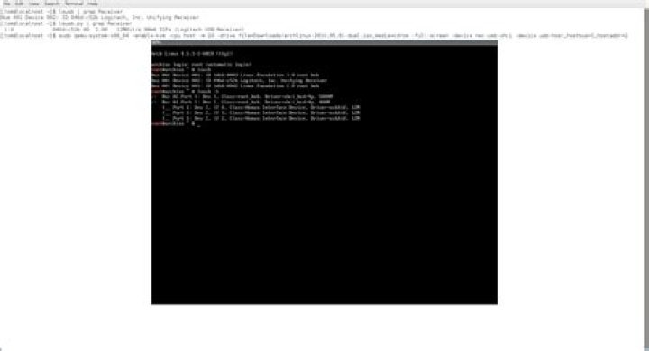 USB passthrough for QEMU gets error "qemu: could not add USB device"