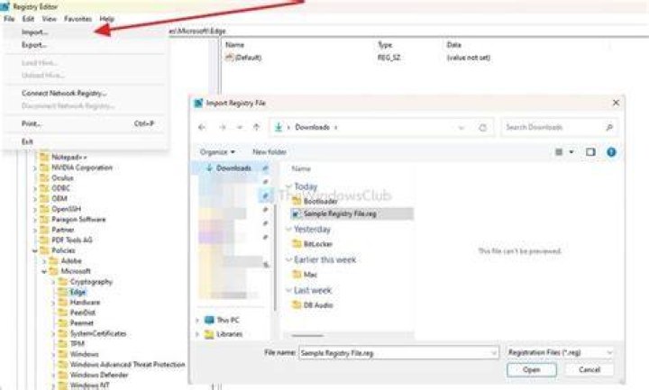 View a .reg file without modifying registry