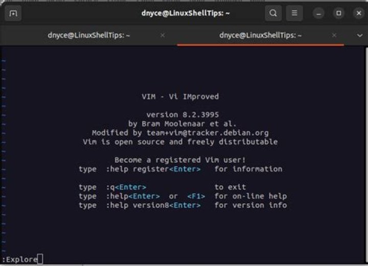 Vim in OSX: How to do page-up/page-down/go to EOL through a vim file opened in terminal?