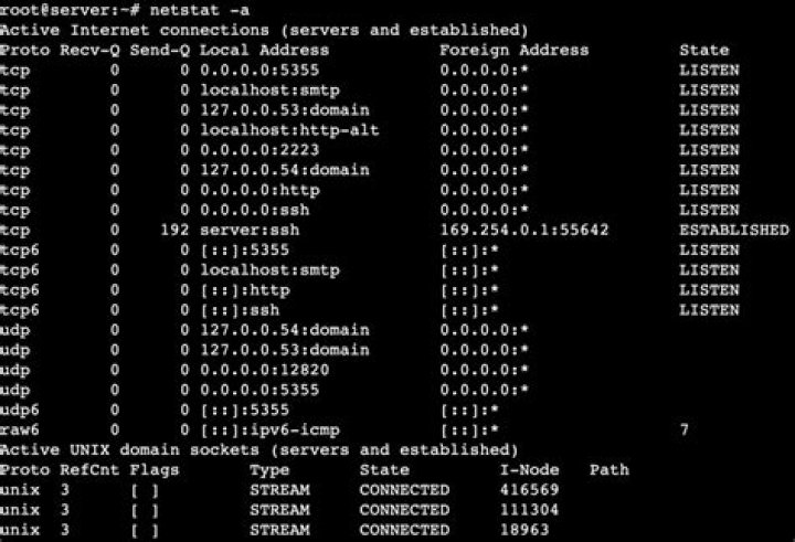 What's the '-' stands for in the output of 'netstat -anp'?