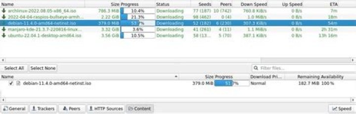 What's the difference between a torrent file and a Magnet link?
