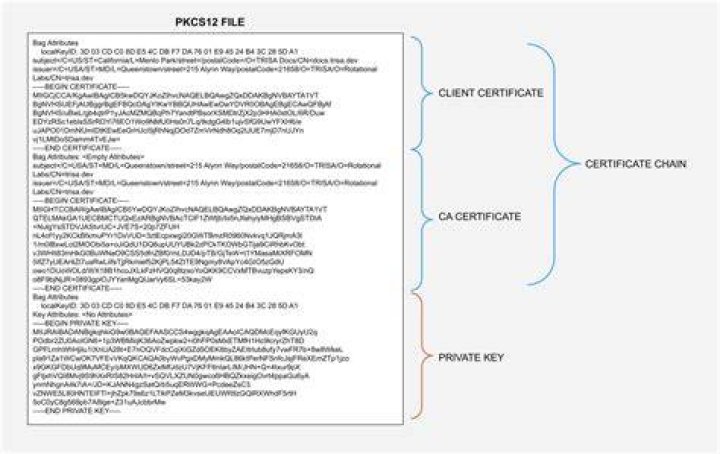 What's the quickest way on a Windows machine to look at the detail of a p12 certificate?