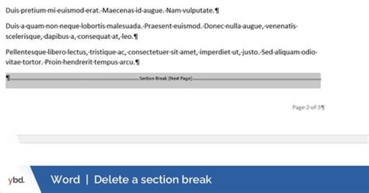 What's this mysterious symbol used for the insert page break shortcut in Apple's Pages?