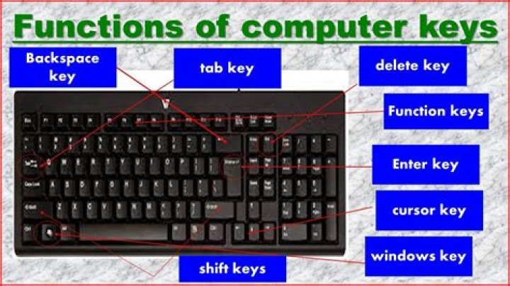 What are the functions of the multimedia keys?