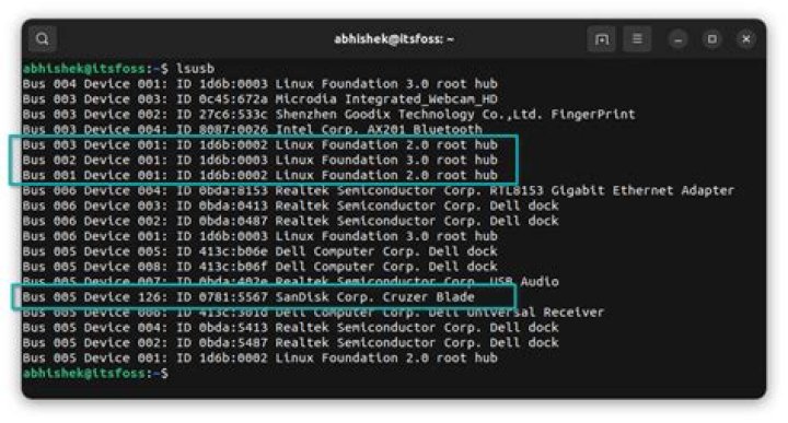 What are the "hub" devices shown in my 'lsusb' output?