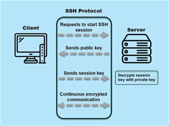 What are the tasks of ssh and sshd respectively?