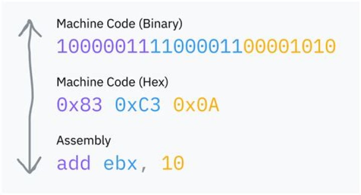 What does 00 00 00 00 00 00 etc. mean in machine code? [closed]