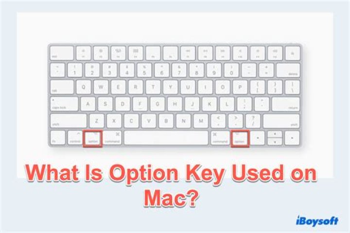 What does `-e` option in sed do?