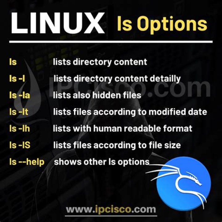 what does "ls'" mean in Linux?