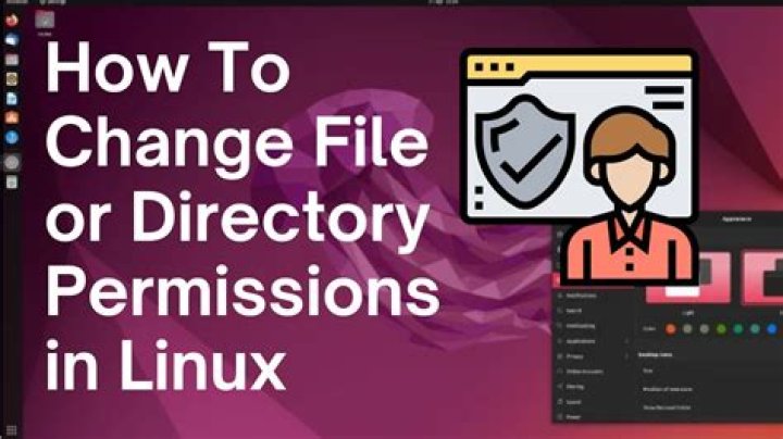 What does "t" in the permissions of the file on Linux indicate?