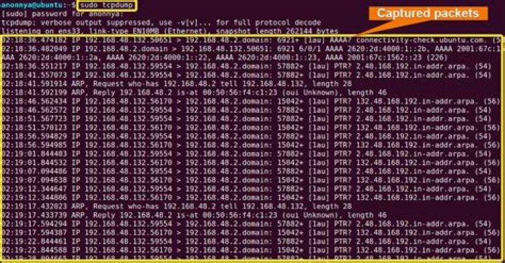 What does TCP packet [P.] flag means in tcpdump's output?