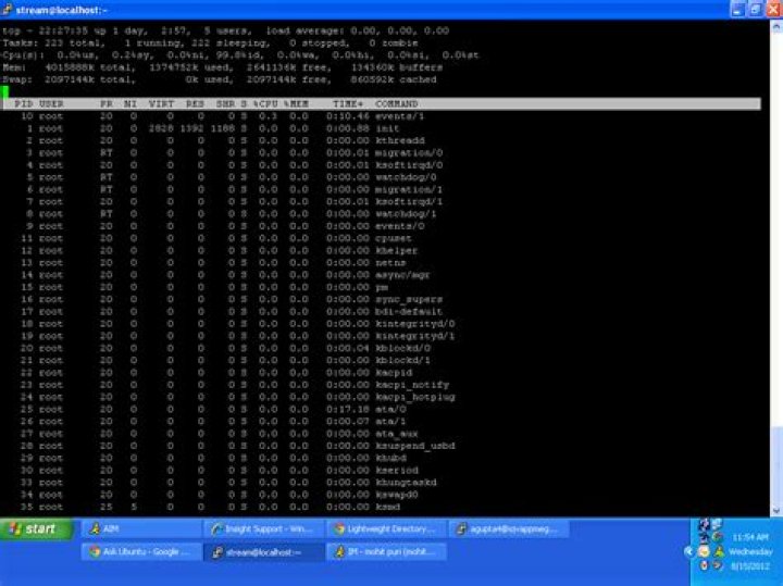 What does the 'g' mean under VIRT in "top" on linux?