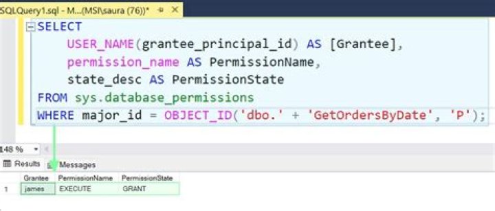 What does the "execute" permission do?