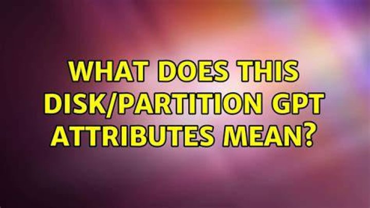 What does this disk/partition GPT Attributes mean?