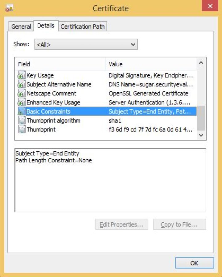What is causing warning on a certificate's basicConstraints?