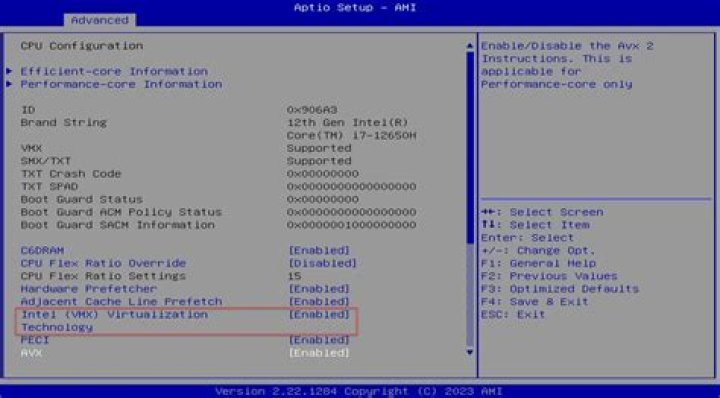 What is difference between VMX and VT-x?
