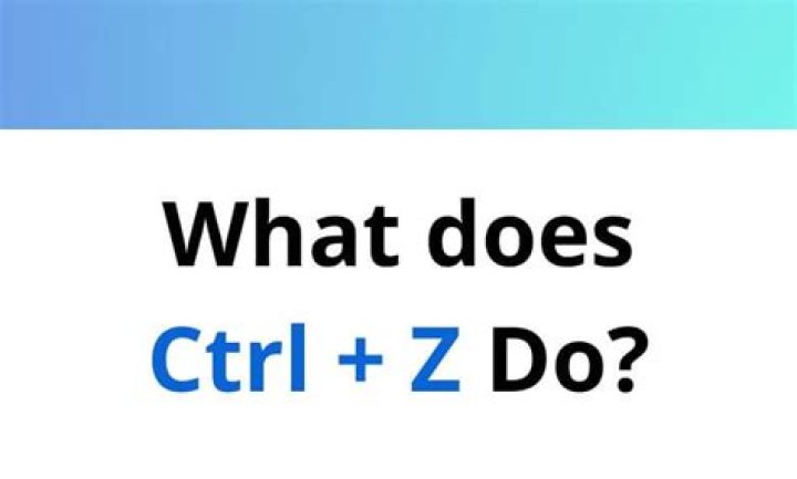 What is effect of CTRL + Z on a unix\Linux application