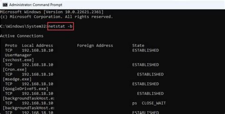 What is ::: in the Local Address of netstat output?