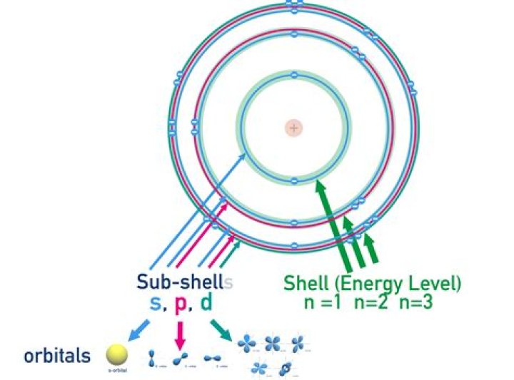 What is "-n" in shell?