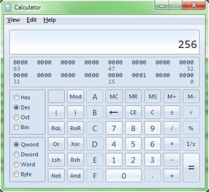 What is the binary representation of "256"? [closed]