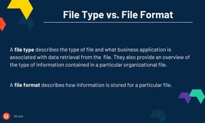 What is the difference between File Type and File Format?