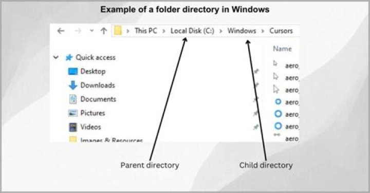 What is the directory “C:\Users\TEMP”?