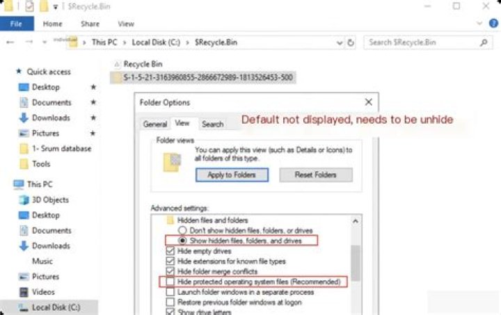 what is the path of the recycle bin directory? [duplicate]
