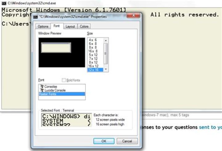 What is the "raster fonts" option in windows cmd appearance settings?