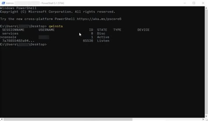 What is this hashed Session Name when I run qwinsta on my Win10 workstation?