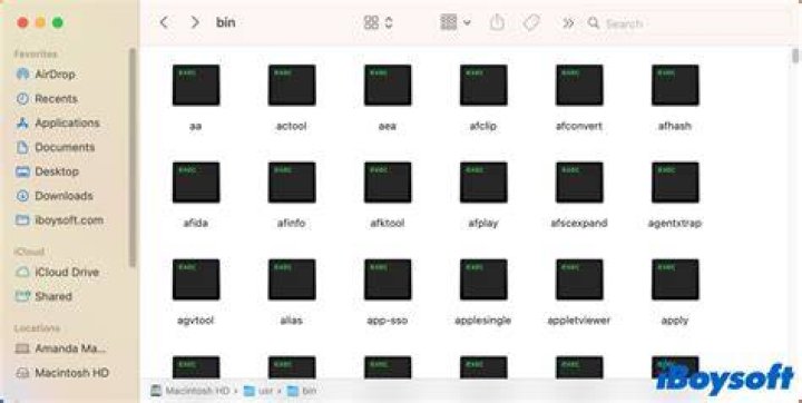 What is /usr/local/lib on macos?