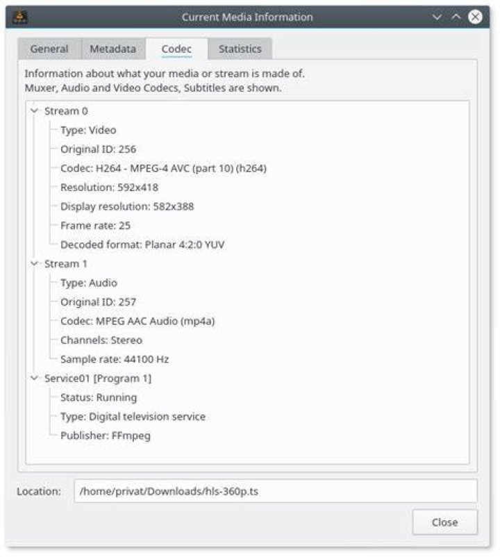 Where's the difference between these two VLC codec identifiers?