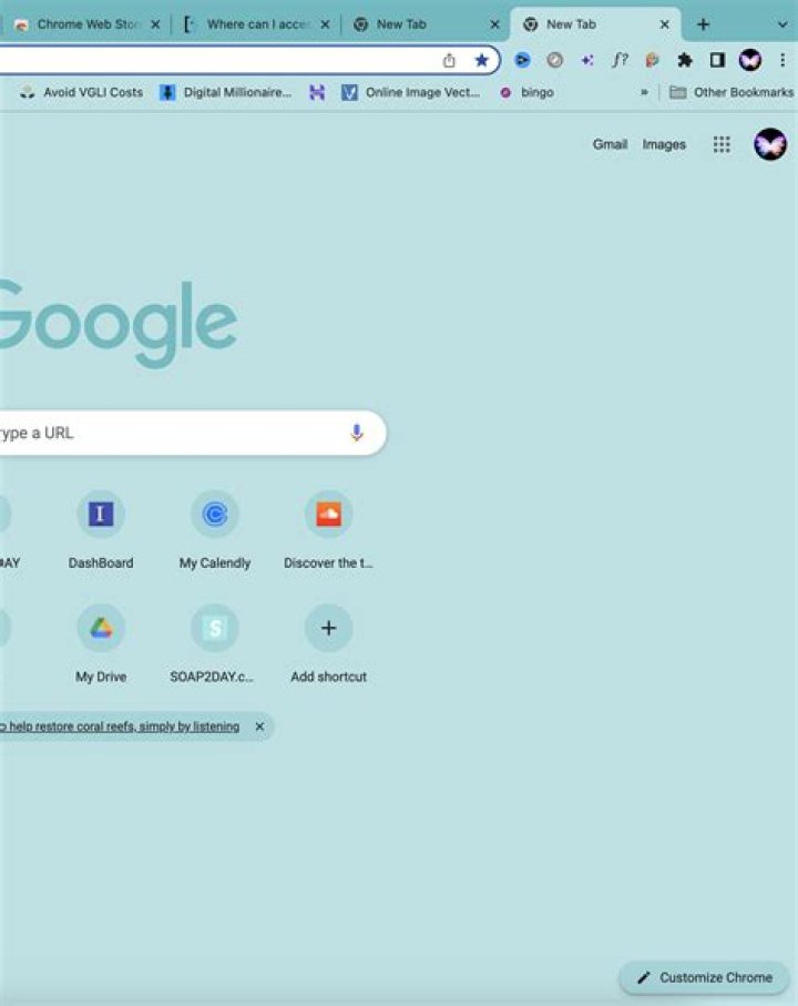 Where can I access and manage downloaded themes in Google Chrome