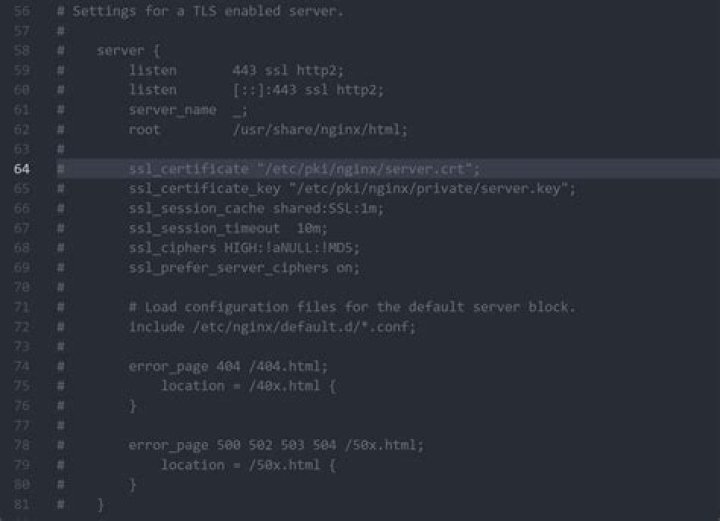 Why a listen 443 default_server; nginx rule override already configured rule (http rules working normal way)?