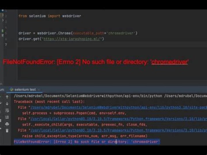 Why am I getting a “No such file or directory” error when running this script in macOS?