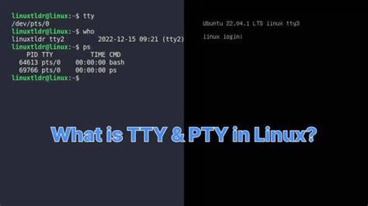 Why are there so many /dev/tty in Linux?