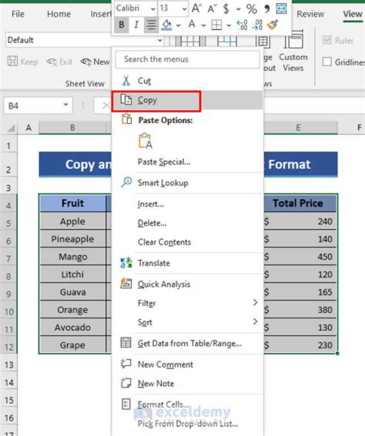 Why can't you copy/paste images in excel, but screenshots work?