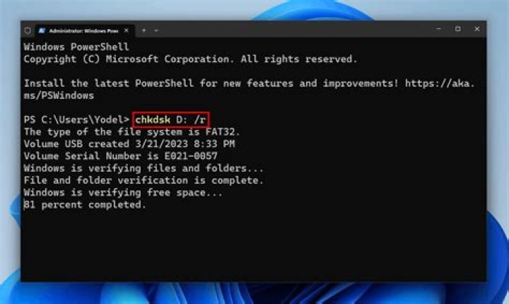 Why does chkdsk produce "Correcting error in index $I30 for file 33267" and then freeze?