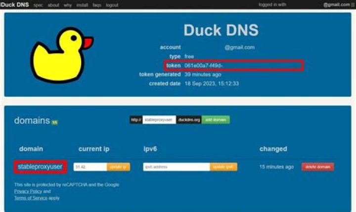 Why does Cloudflare's DNS not resolve some DuckDNS domains, while Google's does?