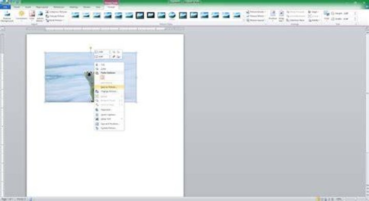 Why does Microsoft Word save the whole picture after you crop it?