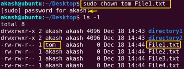 Why I can't access to this directory after that I use the chown command?