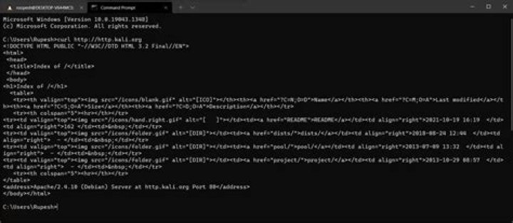 Why Installing kali linux metapackage, returns"Temporary failure resolving 'http.kali.org'"