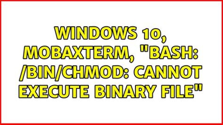 Windows 10, MobaXterm, "bash: /bin/chmod: cannot execute binary file"