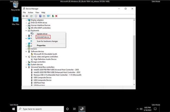 Windows 10 Safe Mode, still BSODs with WDF_VIOLATION