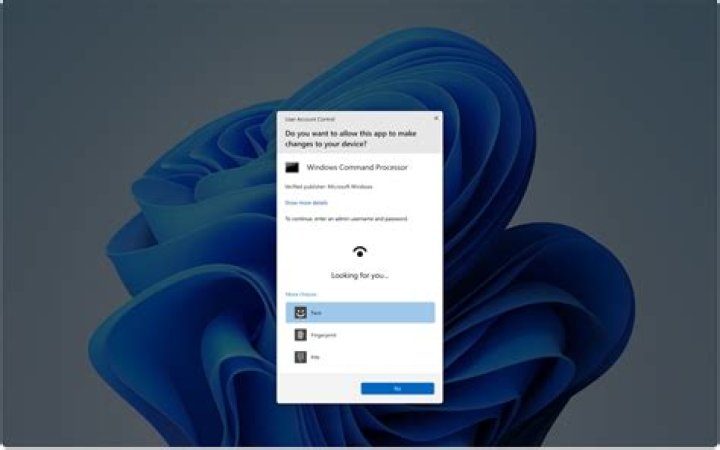Windows displays a black screen instead of password prompt