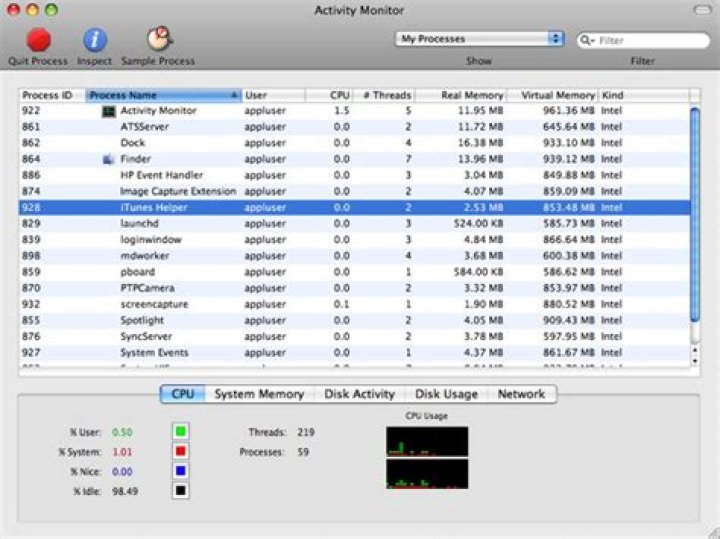 Windows Task Manager equivalent for Mac OS X?