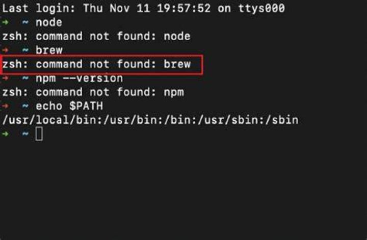 Zsh says "no matches found" when trying to download video with youtube-dl
